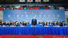 我院何保同学在第一届中国东盟武术大赛上荣获第三名