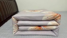 【迎评促建】｜ 治安学院开展“传承好家风，树立硬作风”治安学院团日主题活动评比结果